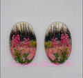 Fireweed on Oval