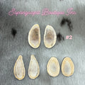 Caribou Antler Slice sets