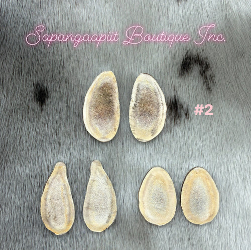Caribou Antler Slice sets