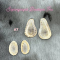 Caribou Antler Slice sets