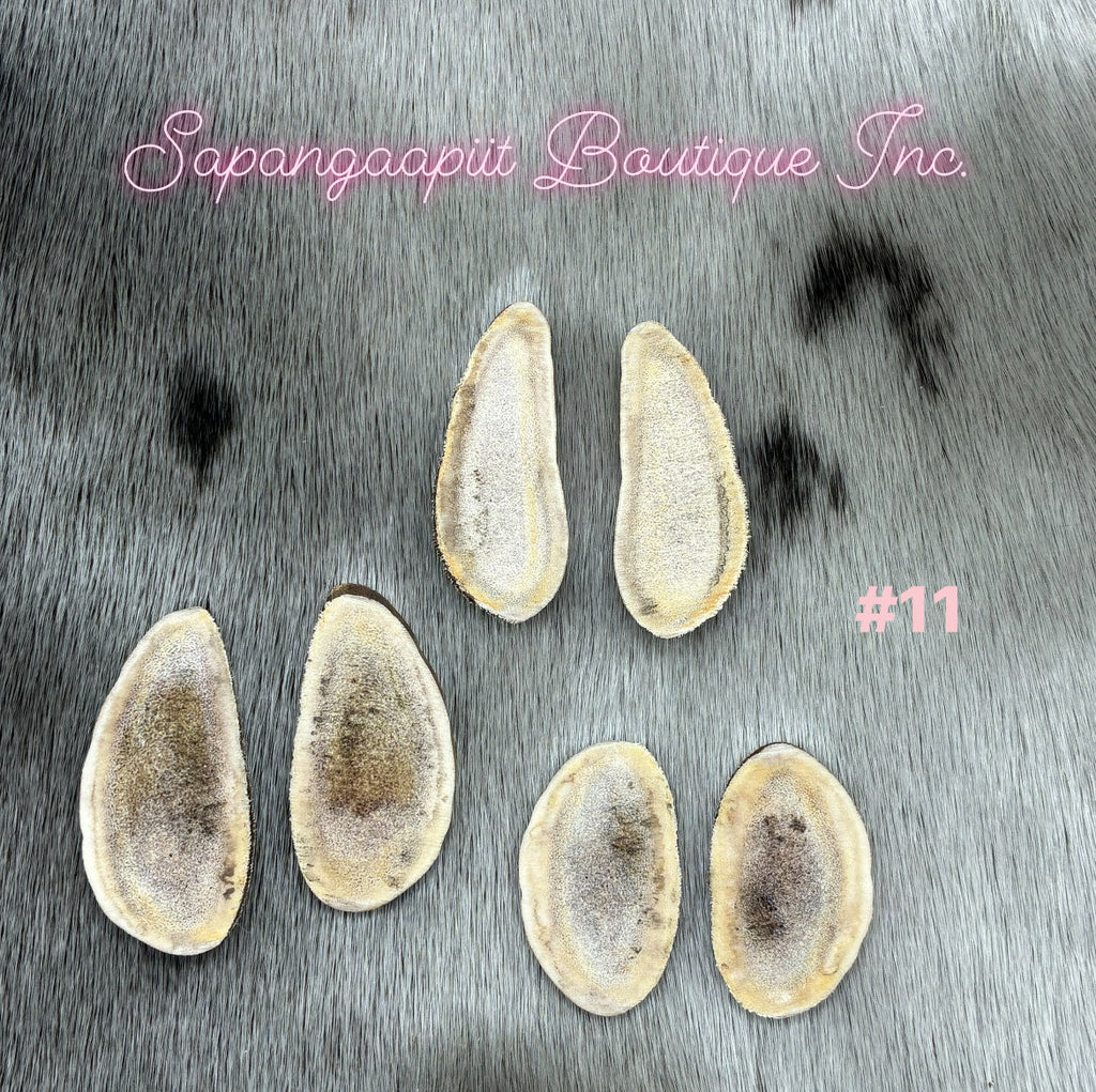 Caribou Antler Slice sets
